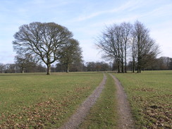 P20112032746	The track leading eastwards towards Stourhead. 