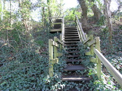 P20112142897	Steps leading down to the road in Wroxall.