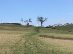 P20112142899	The path across Appuldurcombe Park.