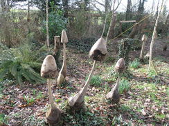 P20112142935	Carved stumps.