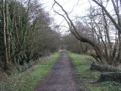 P20112142942	The railway path between Blackwater and Shide.