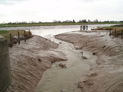 P20113210192	The outfall of the River Nar.