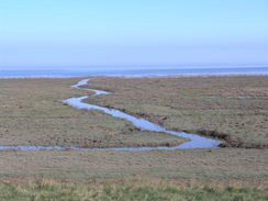 P20113243552	A stream crossing the marshes.