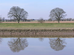 P20113243613	The River Nene.