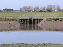 P20113243616	An outfall into the Nene.