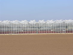 P20113243675	Greenhouses to the west of Terrington St Clement.