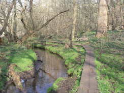 P20113283733	Following the boardwalk past Brookhill Wood.