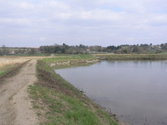 P20113283778	The bank at the end of Martlesham Creek.