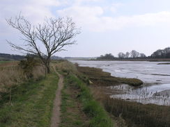 P20113283784	Following the bank along the northern side of Martlesham Creek.