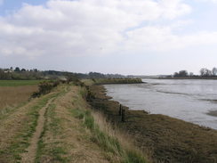 P20113283785	Following the bank along the northern side of Martlesham Creek.