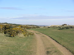 P20114074191	The path heading north behind the beach from Sizewell Gap.