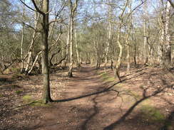 P20114074219	The path approaching Dunwich Heath.