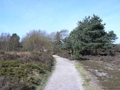 P20114074229	The path eastwards across Dunwich Heath.