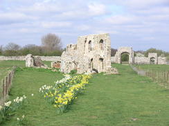 P20114074262	The ruins of Dunwich Friary.