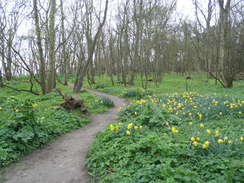 P20114074278	Heading through the woodland south from Dunwich Friary.