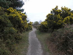 P20114074287	Heading south across Dunwich Heath.