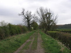 P20114134733	Heading south along Longmoor Lane.