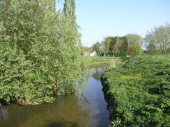 P20114184779	The RIver WItham in Long Bennington.