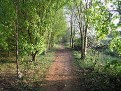 P20114194931	The path alongside Ermine Street.