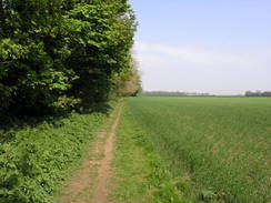 P20114195056	The path between Coleby and Harmston.