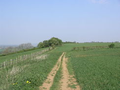 P20114195088	The path heading north out of Waddington.