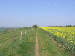 P20114195097	The path heading north out of Waddington.