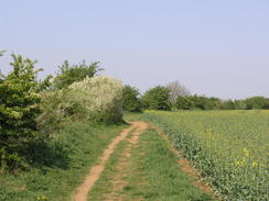 P20114195103	The path heading north out of Waddington.