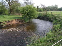 P20114235291	The River Tean.