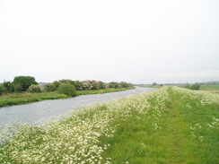 P20115160093	Following the River Whitham eastwards.