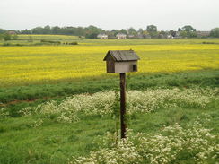 P20115160094	A bird nesting box beside the river.