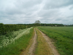 P20115160143	The path between Barlings Abbey and Stainfield.