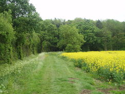 P20115160187	The path between Bardney and Southrey.