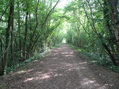 P20115175621	Heading northeast along the old railway path towards Horncastle.