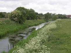 P20115175650	Following the River Bain north towards Horncastle.