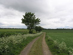 P20115175663	Heading northeastwards into Fulletby.