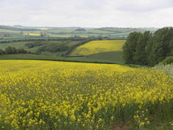 P20115175678	Fields near Fulletby.