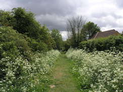 P20115175692	The path leading back into Horncastle.