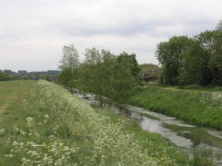 P20115175703	The River Bain.