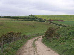 P20115185794	The track leading north out of Goulceby.