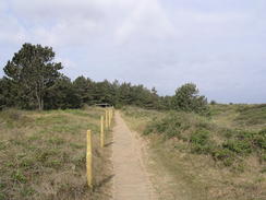 P20115235915	Following the path between Holme next the Sea and Thornham.