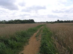 P20115235933	The path to the north of Thornham.