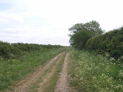 P20115235953	The trail heading east along the hills north of Titchwell.