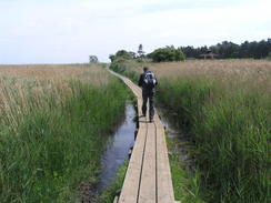 P20115235965	The boardwalk leading east towards Brancaster Staithe.