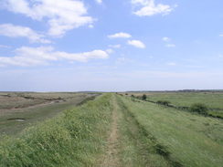 P20115236002	The path heading east from Burnham Deepdale.