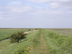 P20115236011	The path heading east from Burnham Deepdale.