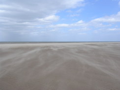 P20115236051	Following the beach eastwards towards Holkham Gap.