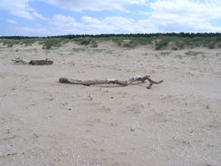 P20115236062	Driftwood on the beach.