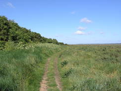 P20115246144	Heading east towards Stiffkey.