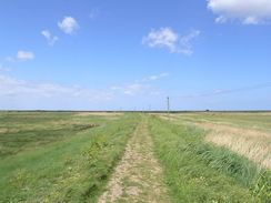 P20115246244	Heading north along the flood bank towards Cley Eye.