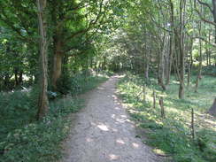 P20115256460	The path leading up Beacon Hill.